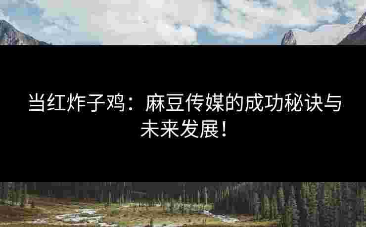 当红炸子鸡：麻豆传媒的成功秘诀与未来发展！